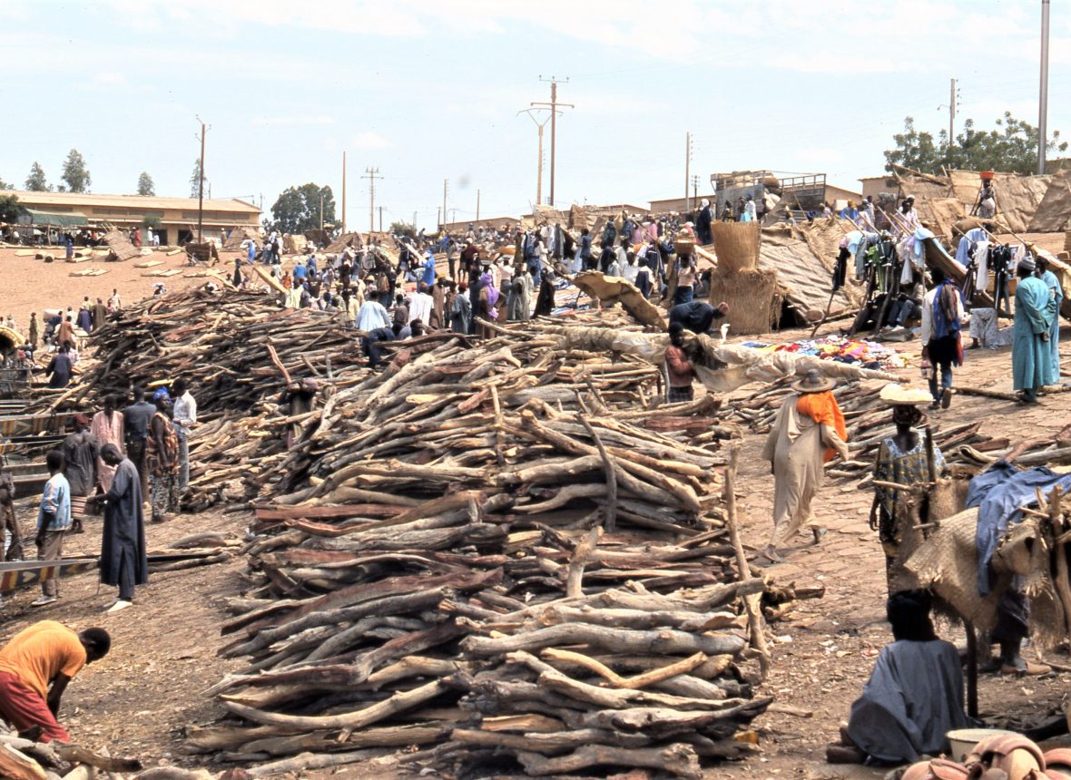Mucchi di legna in attesa del trasporto sul Niger