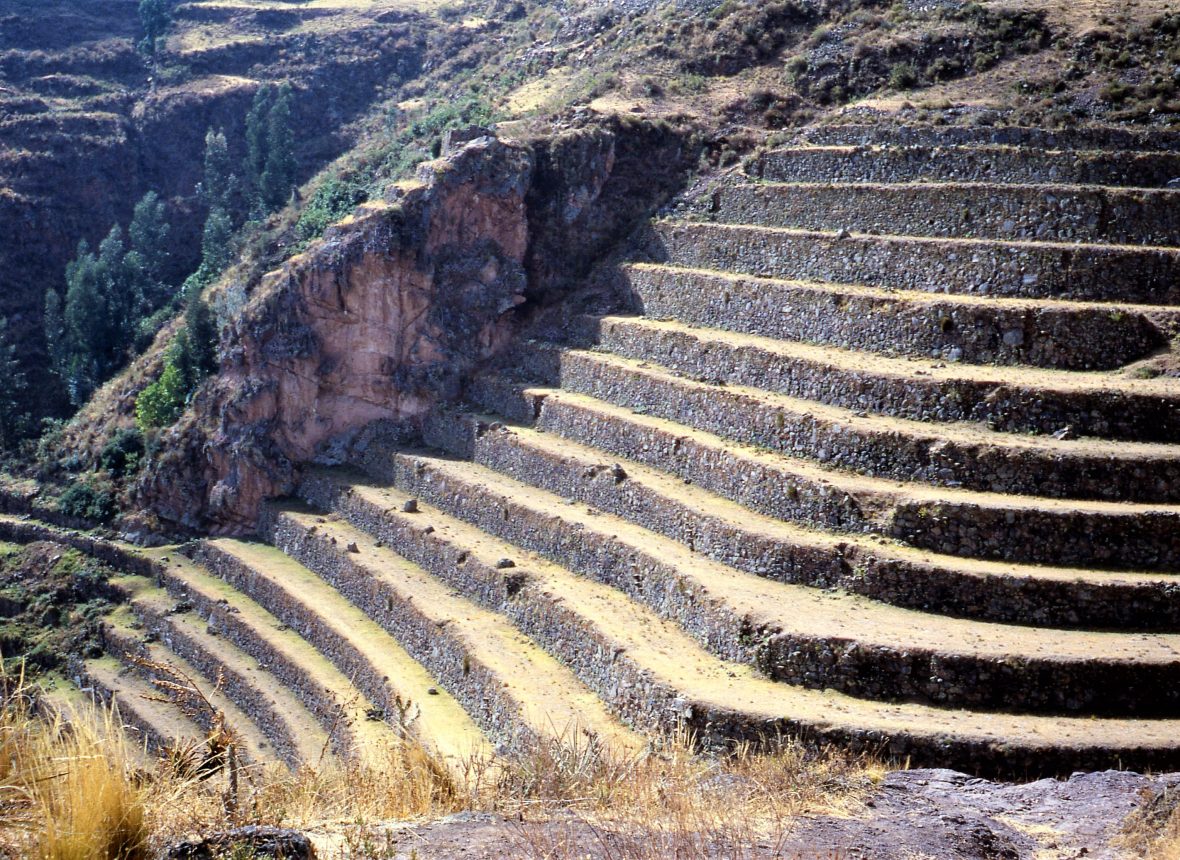 Queste terrazze , fatte di terra prelevata a mano , furono costruiti dagli Inca