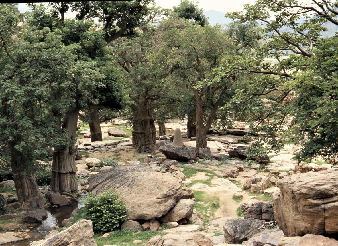 Un bosco di Baobab . E’ il bosco della fertilità , e il simbolo fallico in argilla  .