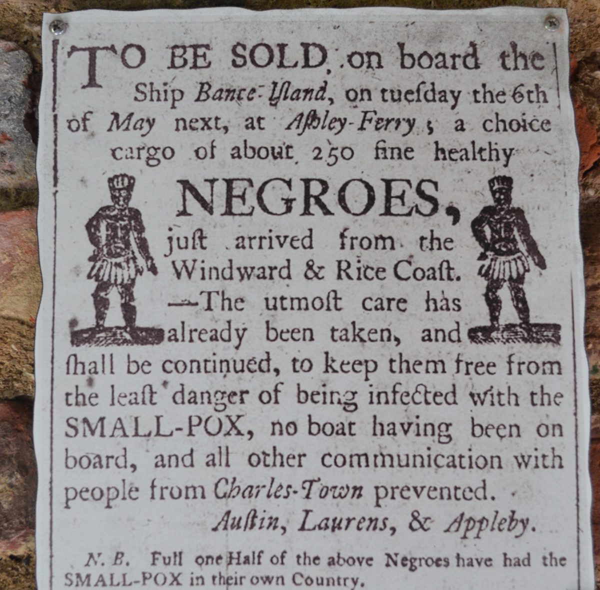 Asta  pubblica per la vendita degli schiavi . E’ detto  che non sono infettati dal tifo ” no