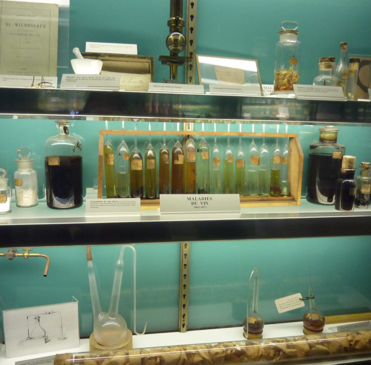 Nelle fiale sono contenuti campioni di vino affetti da varie malattie . Pasteur applicò le sue scoperte per migliorare la produzione del vino , birra e dell’industria della seta , occupandosi delle malattie dei bachi da seta