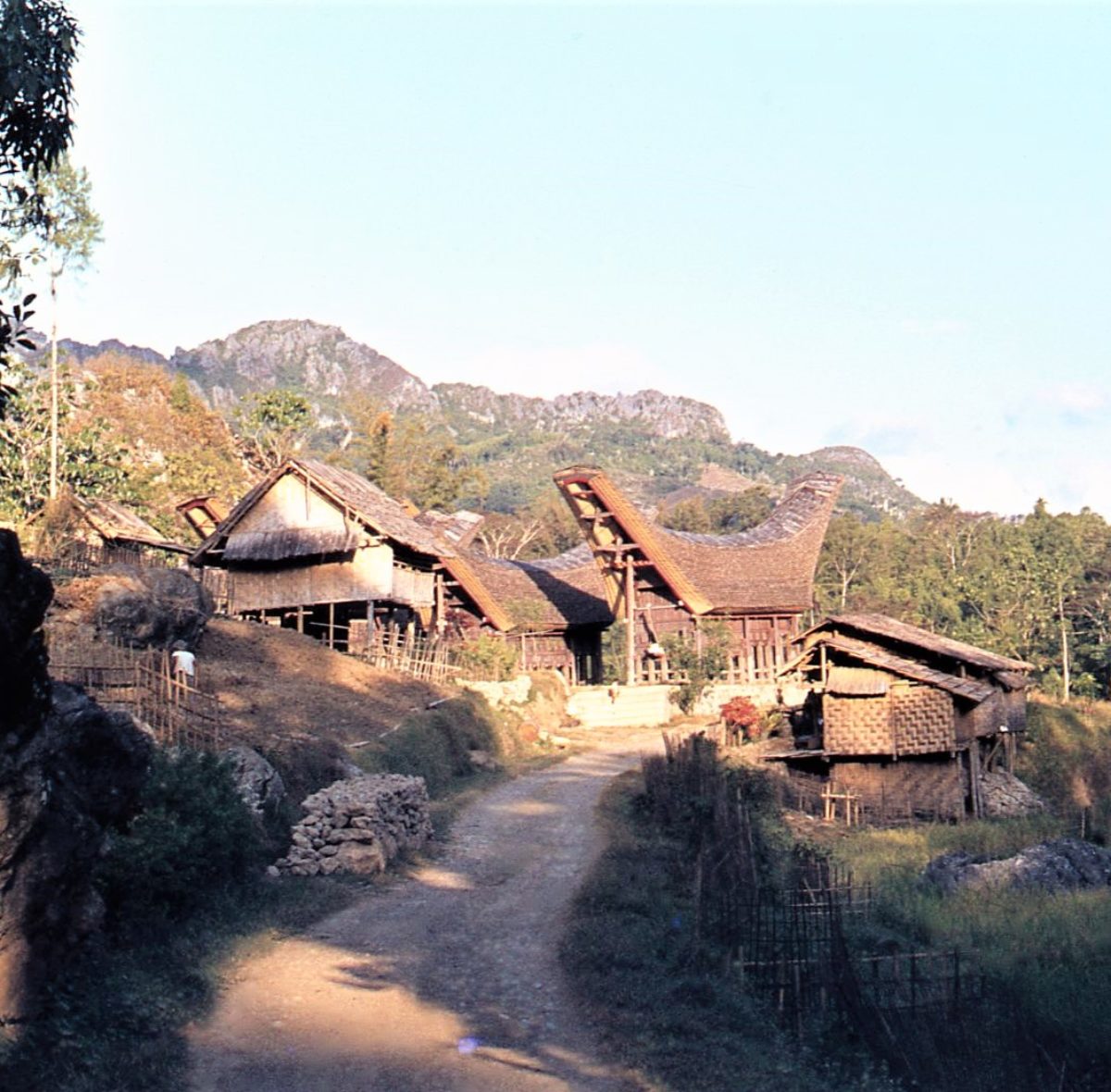 I Toraja vivono in villaggi di piccole dimensioni , i cui abitanti sono membri di una famiglia estesa che va oltre il nucleo famigliare , comprendendo fratelli , sorelle , zii , nonni , cugini . La casa tipica è il tongkonan , la tradizionale casa Toraja