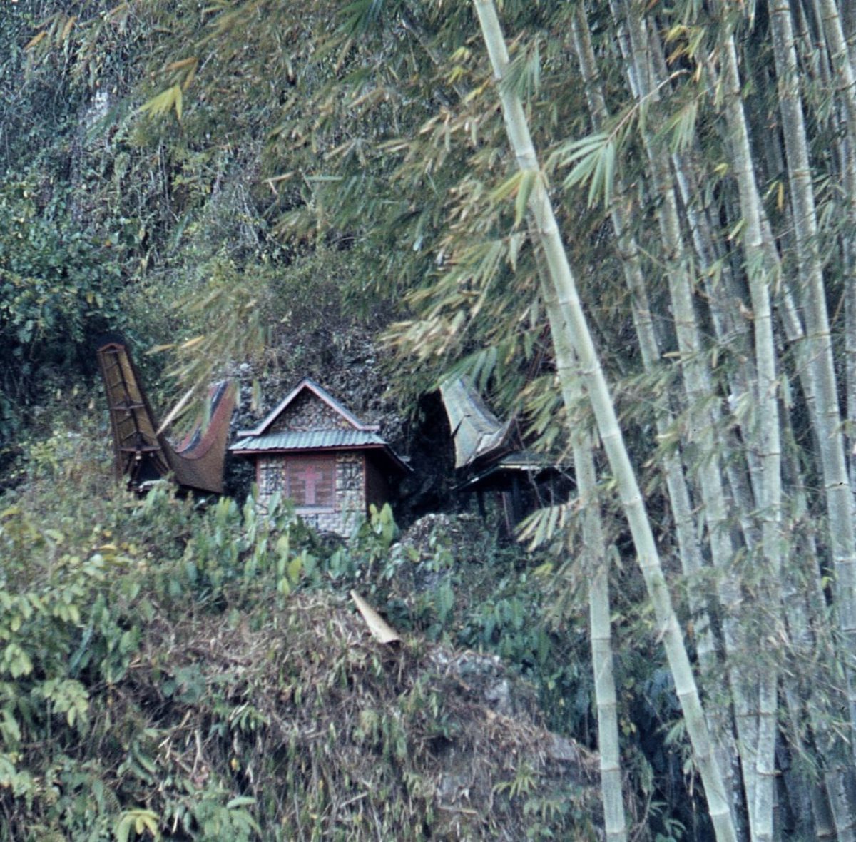 La canna di bambù  sono i tegolini  e i mattoni  delle case Toragja