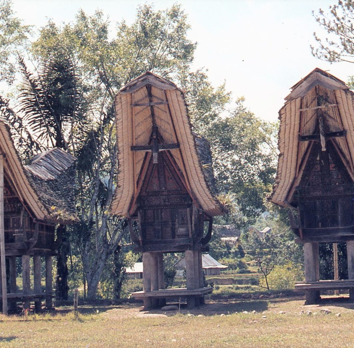 Ciascuna casa o tongkonan ha un nome che inizia col nome del villaggio .