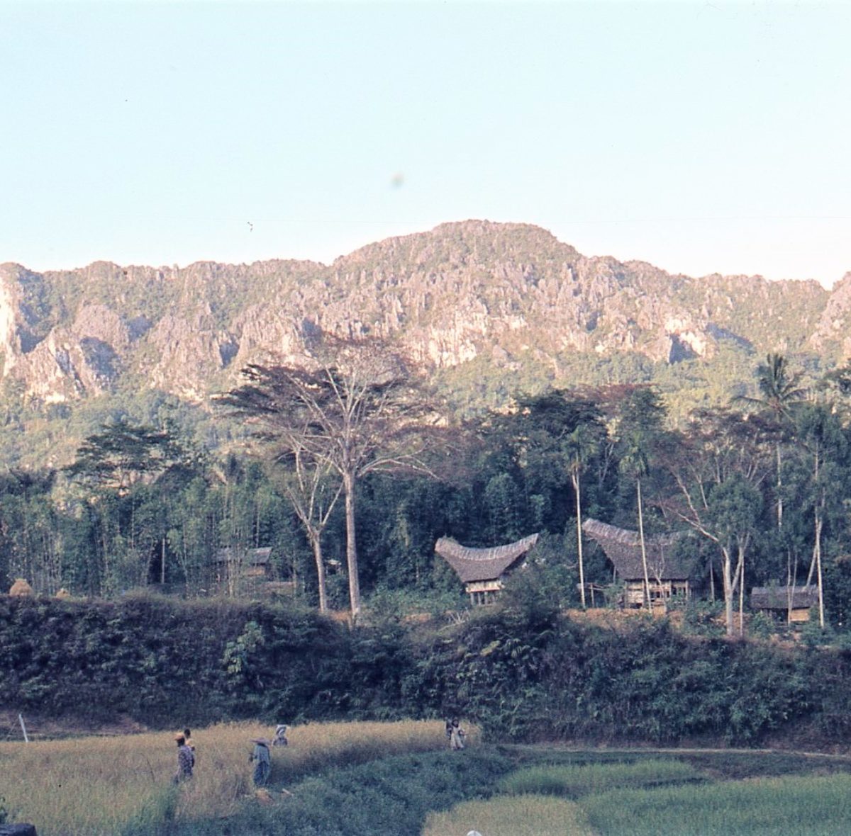 I villaggi in origine erano situati in zone remote della montagna . In seguito , con l’introduzione della coltivazione del caffè , la popolazione si spostò verso le zone pianeggianti
