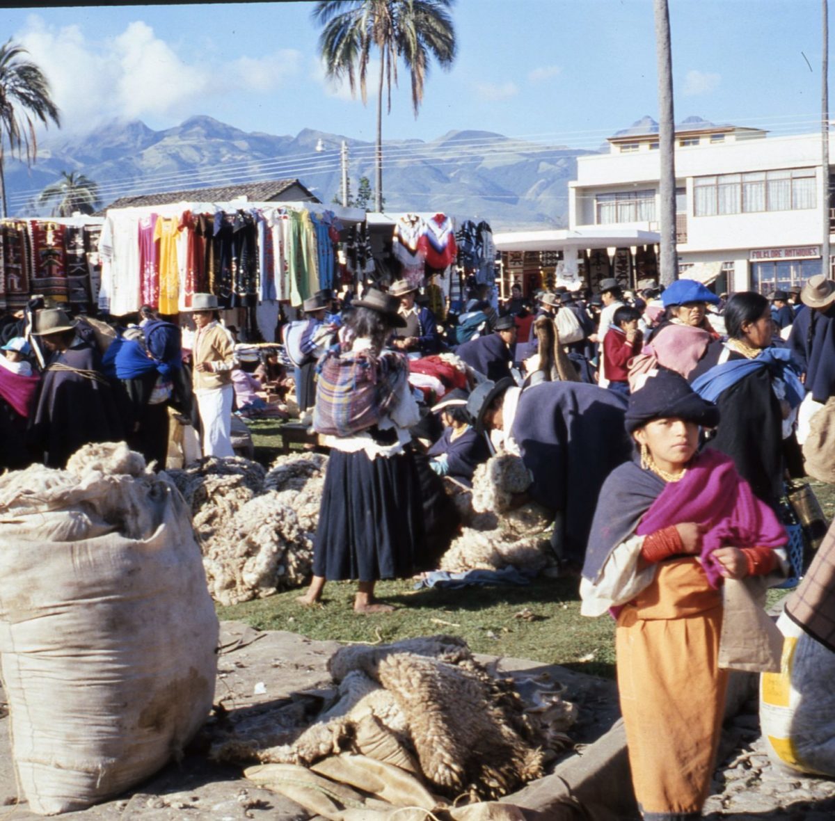 Dall’alpaca si ricavano la lana , le pelli e il cibo . Qui si vendono le pelli .