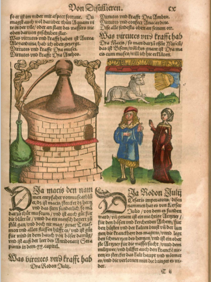 Liber de arte Distillandi de Compositis 1500 di Hieronymus Brunschwig