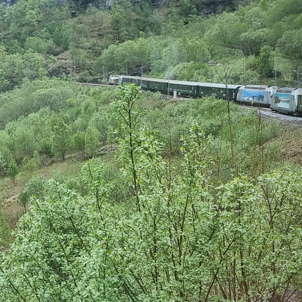 The train leaves from the village of Flam, runs along the entire length of the valley and climbs up to 1000 m
